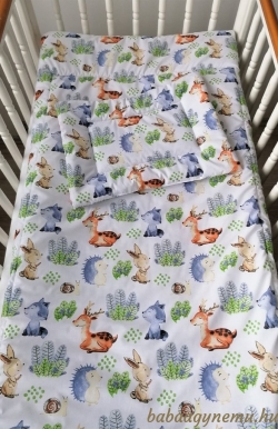 Áfonyaszüret képe